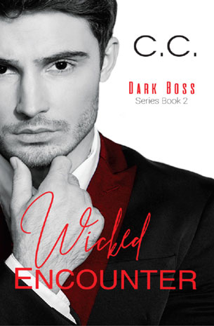 Dark Boss Series Book 2 : Wicked Encounter